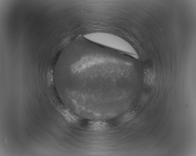 X0000082180621200702092311