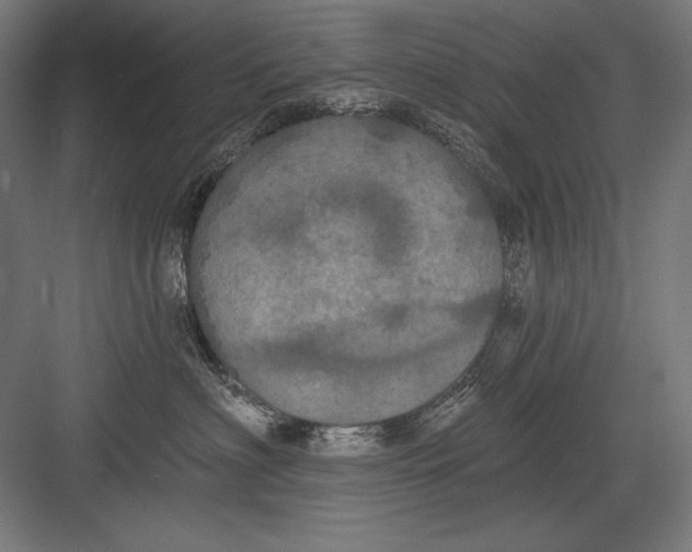 X0000082180622200702092311