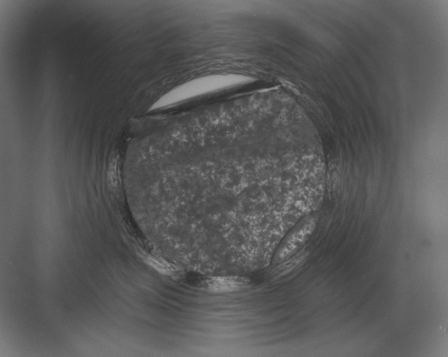 X0000082180623200702092311