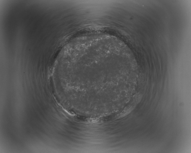 X0000082180624200702092311