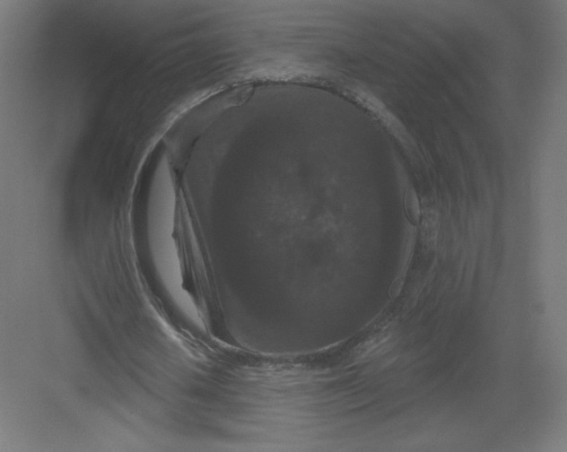 X0000082180626200702092310