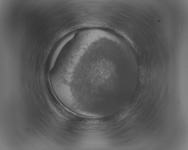 X0000082180631200702092310