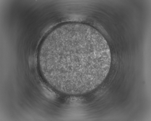 X0000082180632200702092310