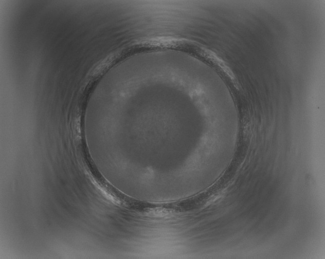X0000082180633200702092310