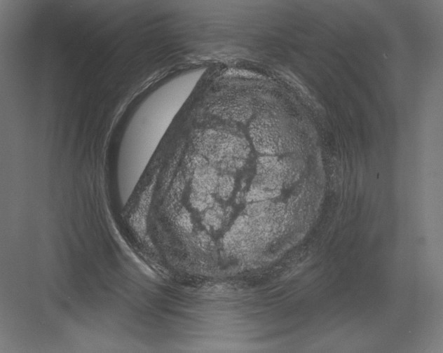 X0000082180634200702092310