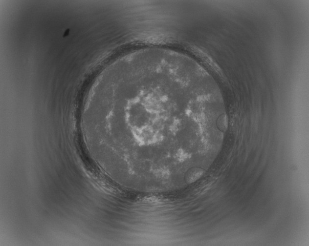 X0000082180635200702092310