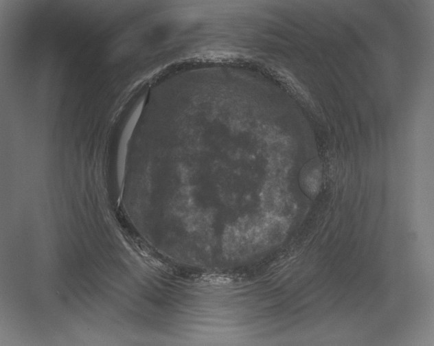 X0000082180640200702092310