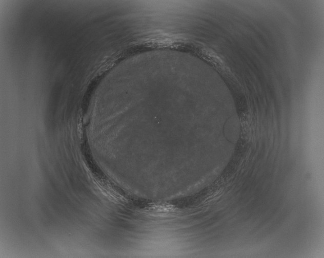 X0000082180642200702092310