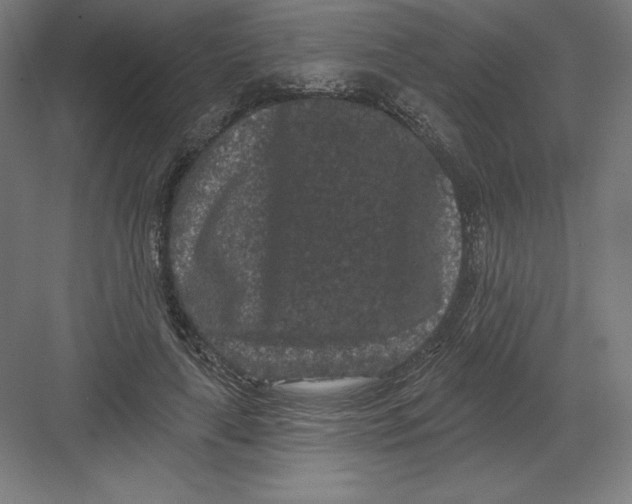 X0000082180643200702092310
