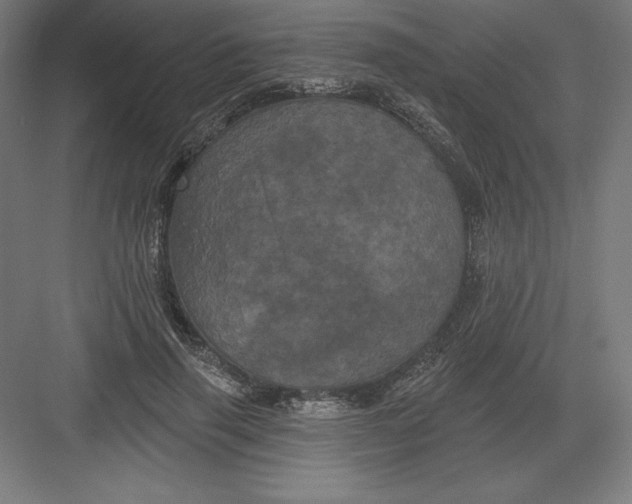 X0000082180645200702092310