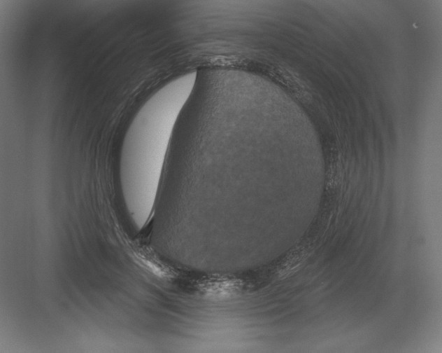 X0000082180646200702092310