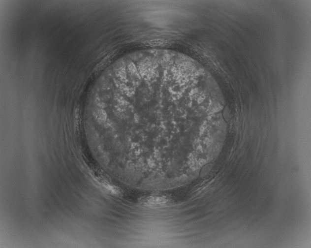 X0000082180647200702092310