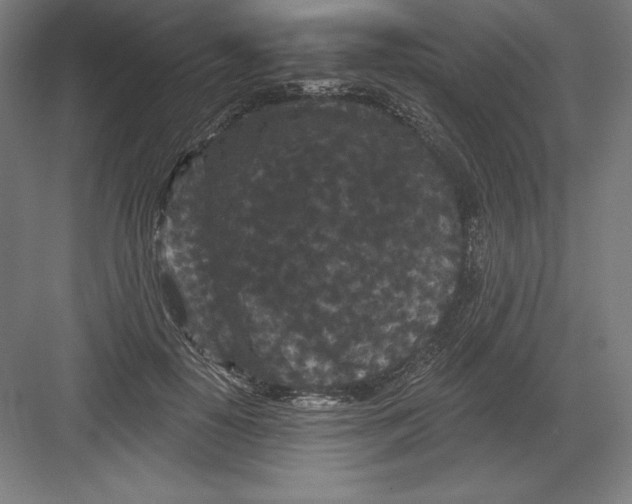 X0000082180650200702092310