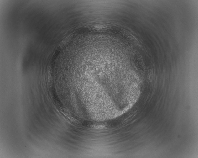 X0000082180651200702092310