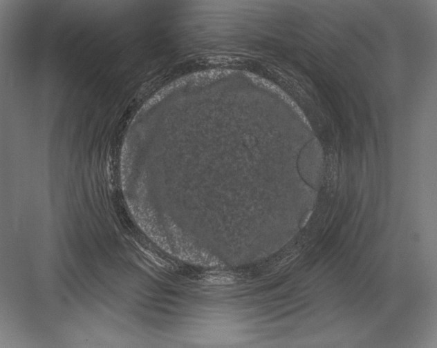 X0000082180653200702092311
