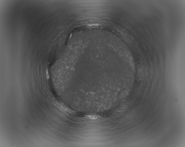 X0000082180654200702092311