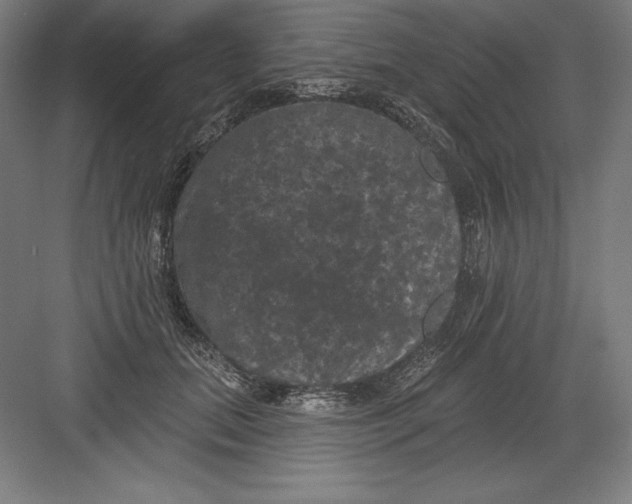 X0000082180655200702092311