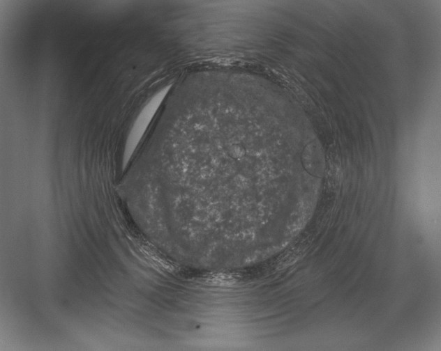 X0000082180656200702092311