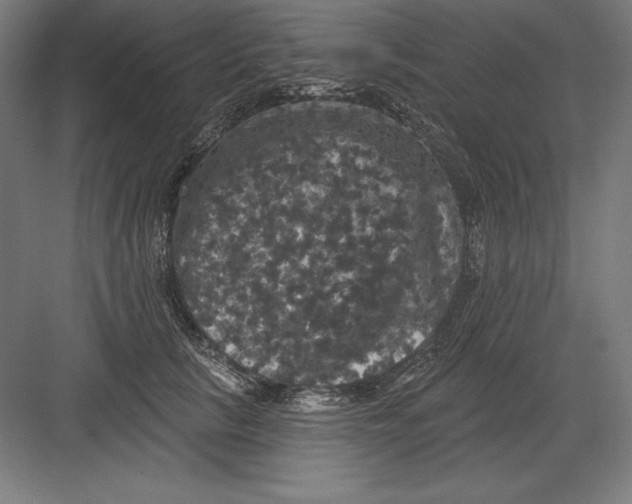 X0000082180657200702092311