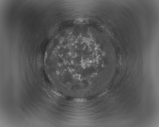 X0000082180659200702092311