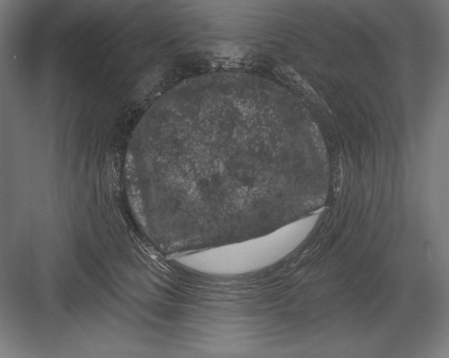 X0000082180661200702092311