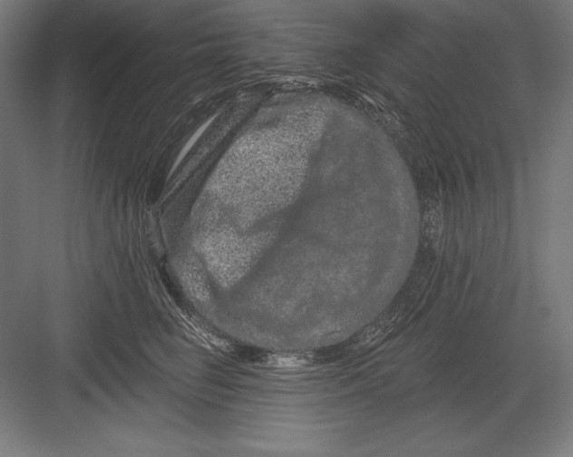 X0000082180662200702092311