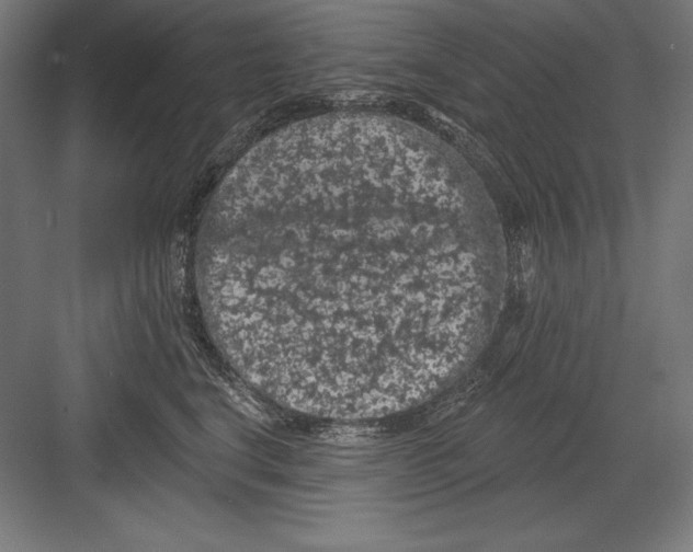X0000082180664200702092311