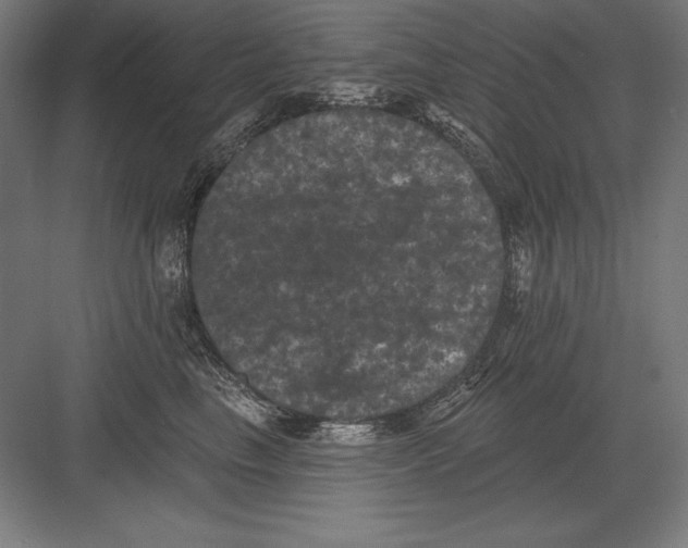 X0000082180665200702092311