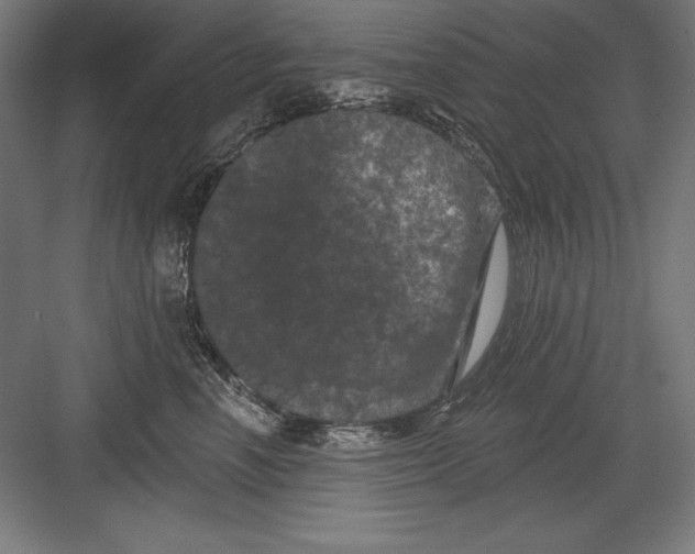 X0000082180666200702092311