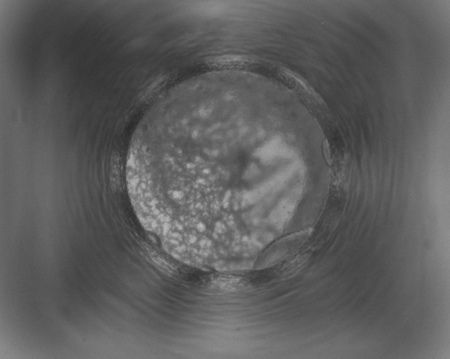 X0000082180669200702092311