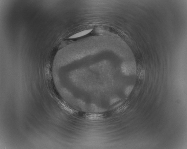 X0000082180670200702092311