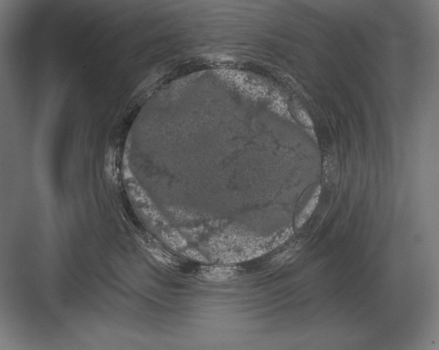 X0000082180671200702092311