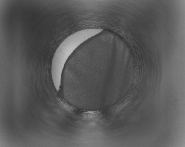 X0000082180672200702092311