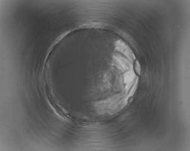 X0000082180674200702092310