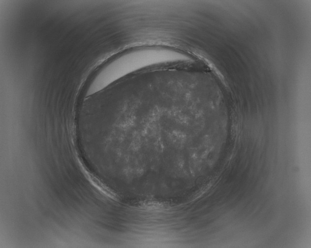 X0000082180677200702092310