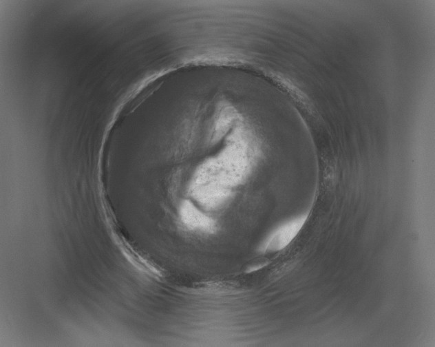 X0000082180678200702092310
