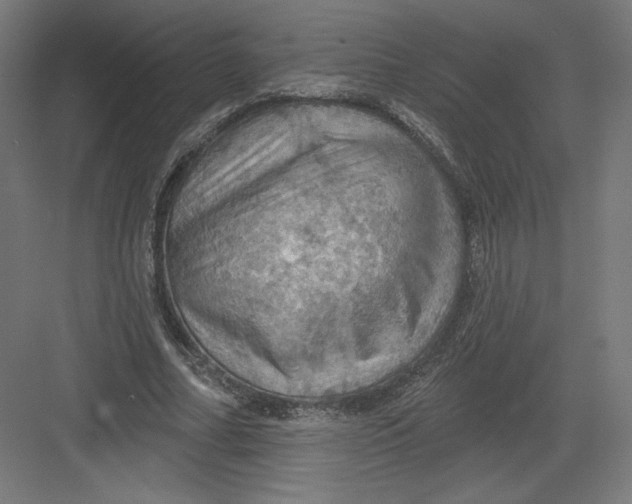 X0000082180682200702092310