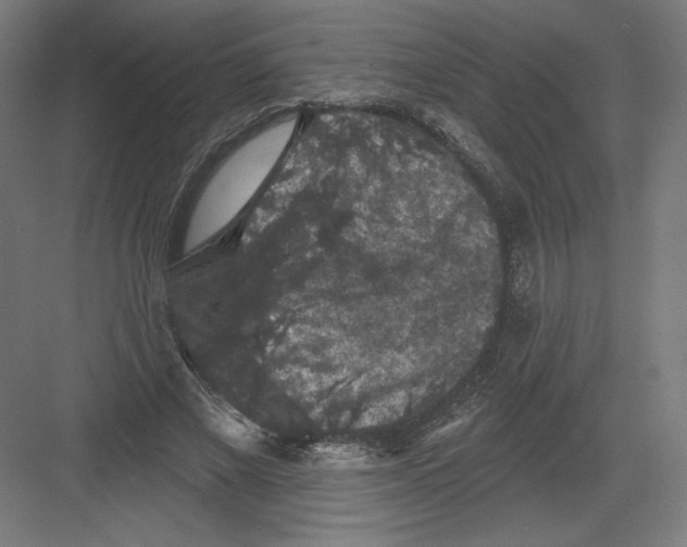 X0000082180685200702092310
