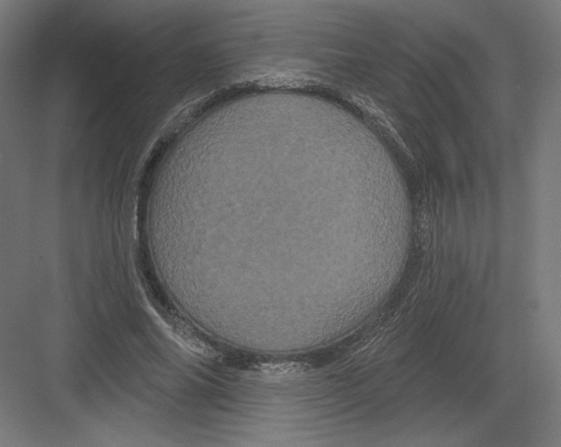 X0000082180686200702092310