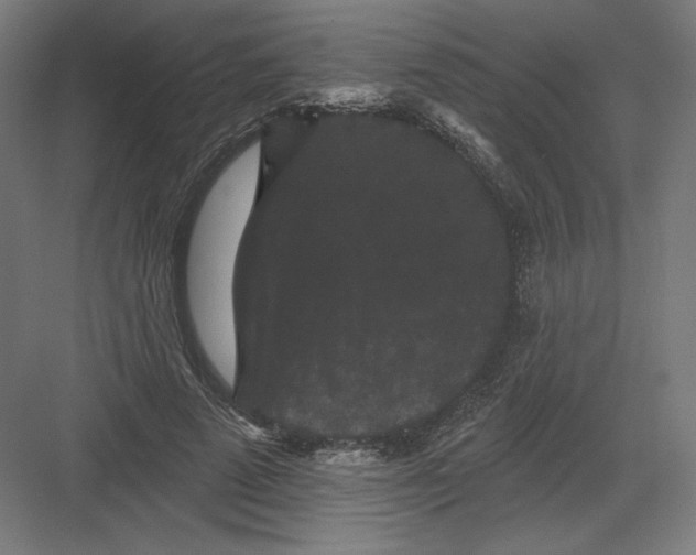 X0000082180689200702092310