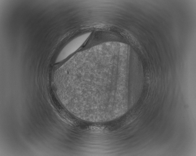 X0000082180690200702092310