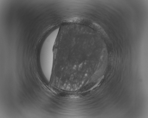 X0000082180692200702092310