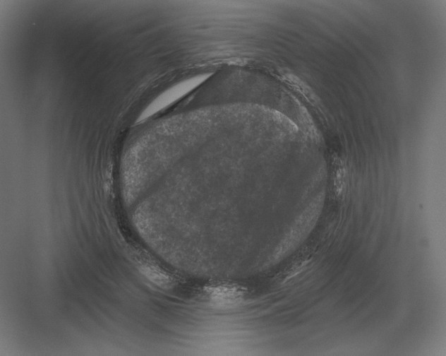X0000082180693200702092310