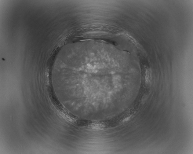 X0000082180696200702092310