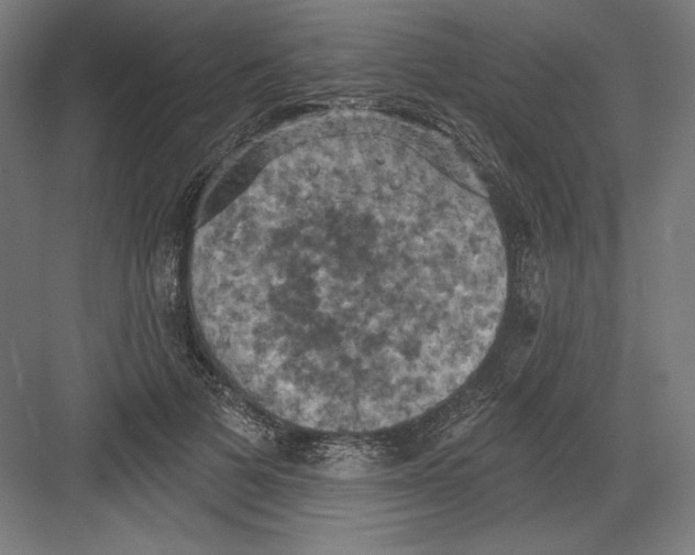 X0000082180697200702092310