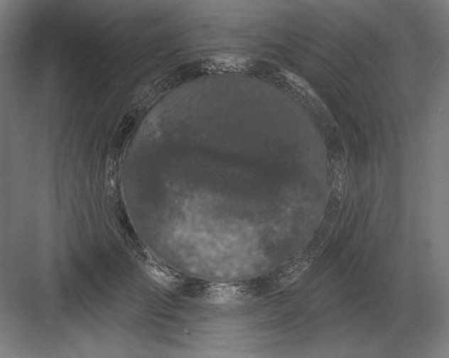 X0000082180701200702092310