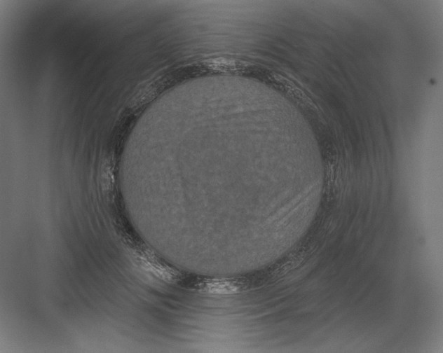 X0000082180702200702092310