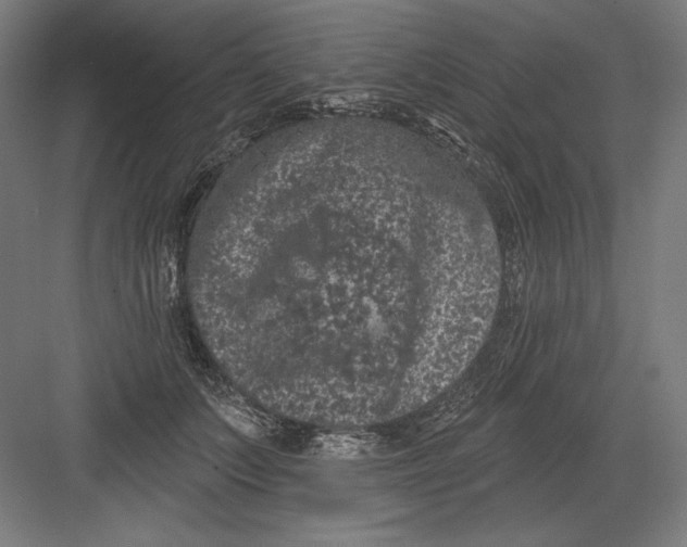 X0000082180703200702092310