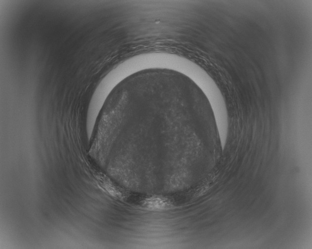 X0000082180704200702092310