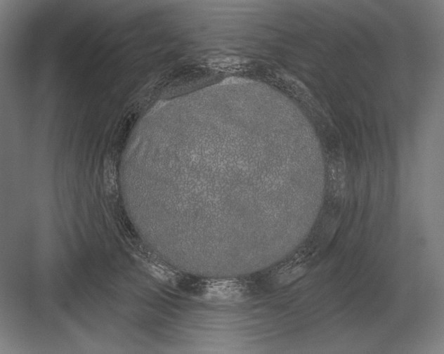 X0000082180705200702092309
